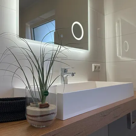 Westwind Fh5 * Femern