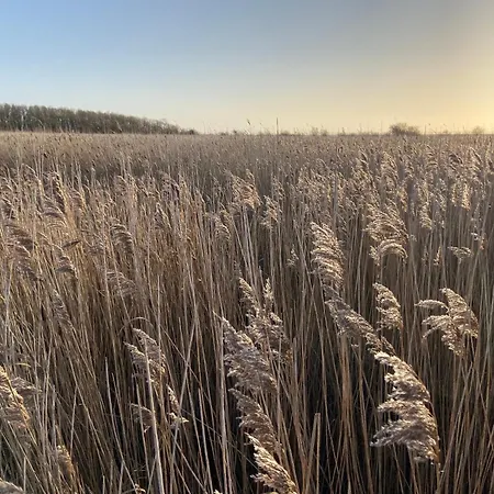 Westwind Fh5 Feriehus Femern